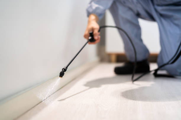Professional exterminator conducting IPM assessment in Idylwood